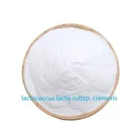 Греен Лацтоцоццус Лацтис Субсп. Цреморис