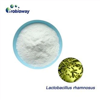 Л.рхамносус Повдер