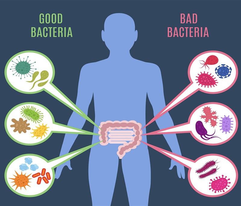 Probiotics and gastrointestinal health
