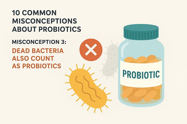 Misconception 3 Dead Bacteria Also Count as Probiotics Misconception 3 Dead Bacteria Also Count as Probiotics